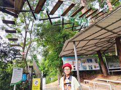 -芦仙山景区-飞越丛林探险乐园