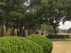 -上海月湖雕塑公园