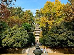 -灵谷景区