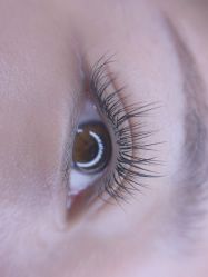 -LADYGIRL·Nail·Lash·美甲美睫