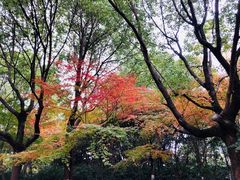 -花溪公园