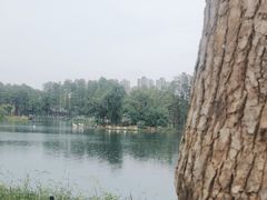 -武汉动物园