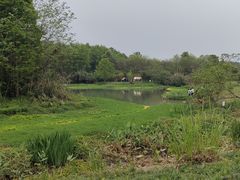 -桤木河湿地公园