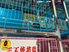-清平路水族市场