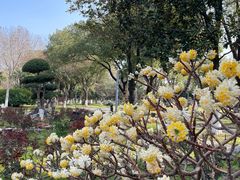 -汉水公园