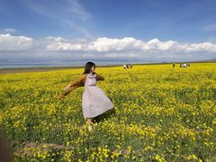 -青海湖国家重点风景名胜区