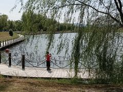 -野鸭湖国家湿地公园