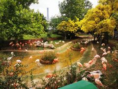 -大连森林动物园