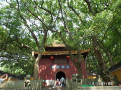 -普陀山风景名胜区-法雨禅寺