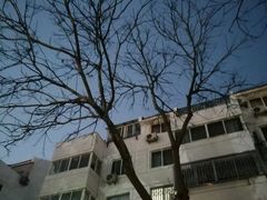 -香雪海饭店中餐厅(人民桥店)