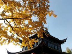 -圆通寺