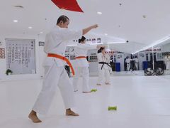 -极真空手道修远道场