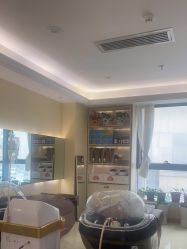 -碧莲盛·不剃发植发