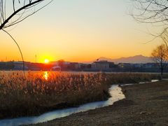 -青龙湖公园