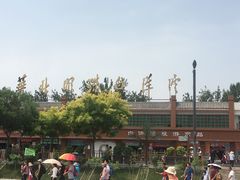 景点-白洋淀景区