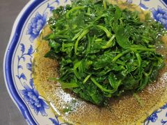 酒香豆苗-九炉分座(个园店)