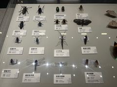 -四川大学博物馆