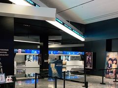 -奥斯卡升龙国际影城(RealD Cinema)