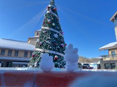 -长白山万达锦华套房酒店