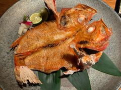 金吉鱼-桐寿司Sushi Tong