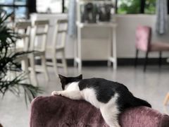 -NOTOOCAFE不二咖啡馆(岩前店)