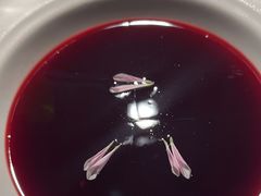 -九鼎轩脆毛肚火锅(南京东路店)