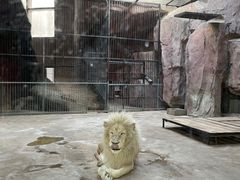 -鄂尔多斯野生动物园