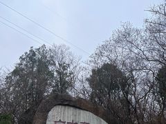 -白水寺森林公园