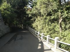 -北山公园