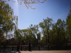 -玲珑塔公园