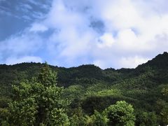 -塔川景区