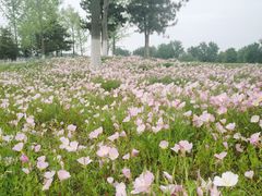 -汉长安城未央宫国家考古遗址公园