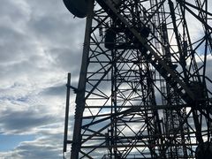 -武陵山森林公园