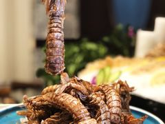 -金龙·打边炉(武进路店)