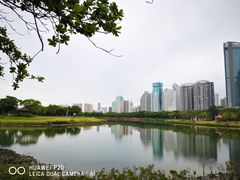 -万绿园