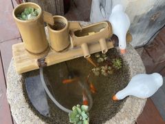 -小茶闲舍·观景商务茶馆(广州塔店)