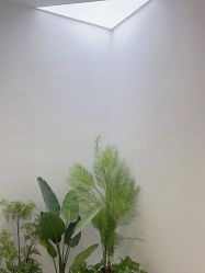 -VE专注问题肌·赛诺龙&科学美肤中心