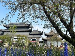 -苏州上方山国家森林公园