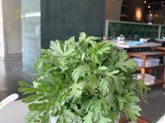 -百年果林椰子鸡(中洲店)