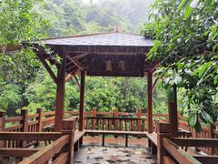 -广州白江湖森林公园