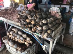 -南沙十九涌渔人码头-南门