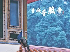 -都江堰普照寺