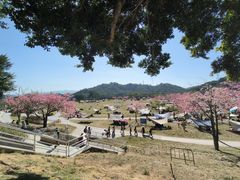 -风云岭森林公园