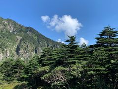 -苍山感通索道