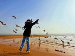 -金梦海湾浴场