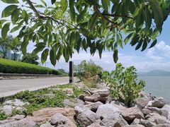 -深圳湾公园(南山区)