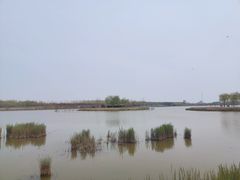 -西青郊野公园