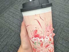 -奥体中心游泳馆