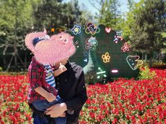 -长白岛森林公园