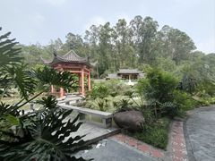 -广州神农草堂中医药博物馆